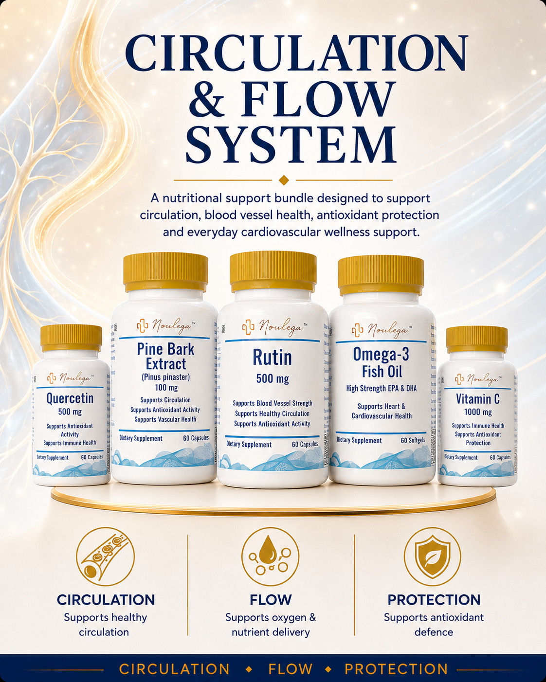Noulega Circulation & Flow System