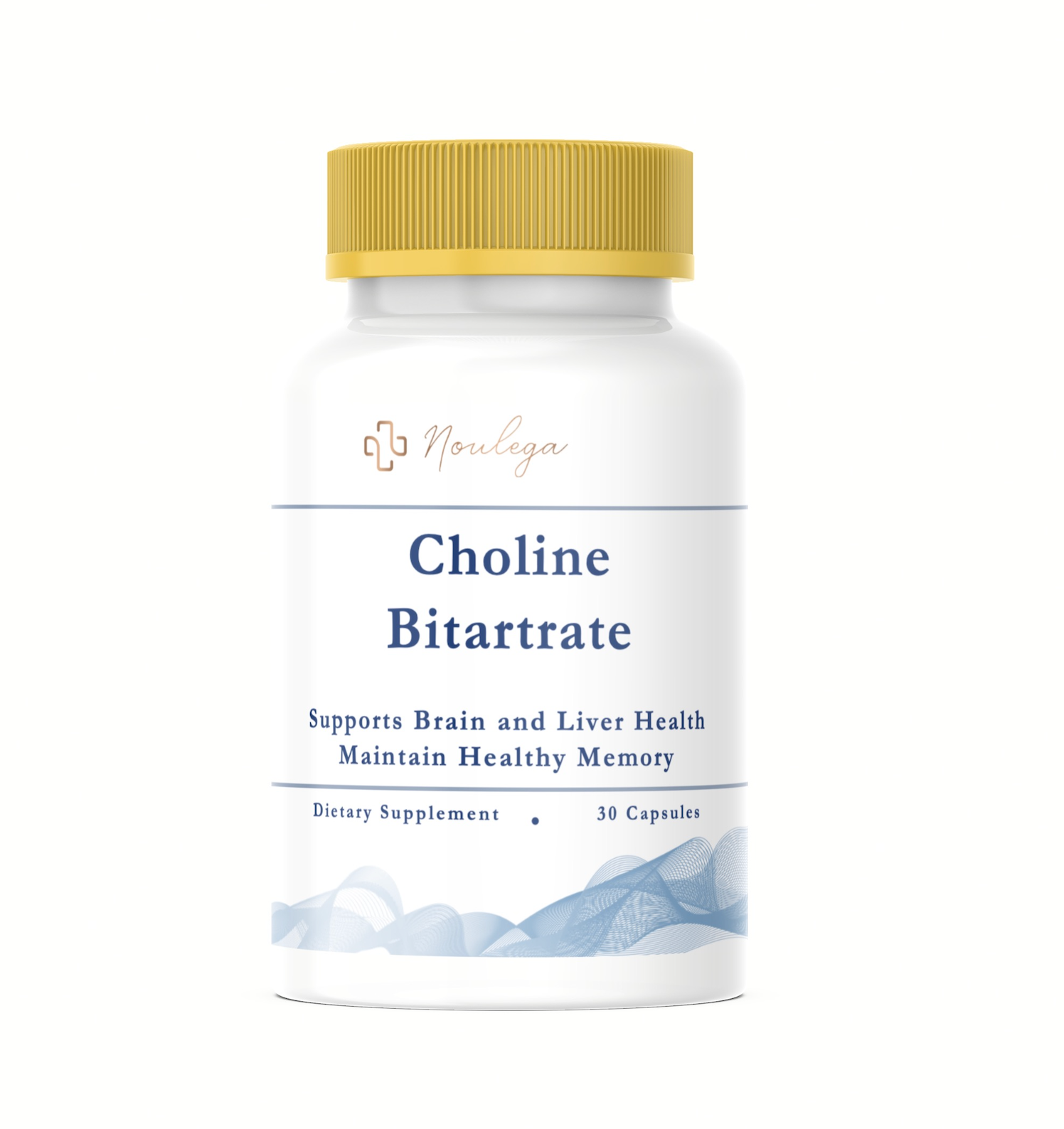 choline bitartrate vs acetyl l carnitine L-Carnitine and acetyl-L-carnitine roles and neuroprotection in developing brain Carnitine for your metabolism |