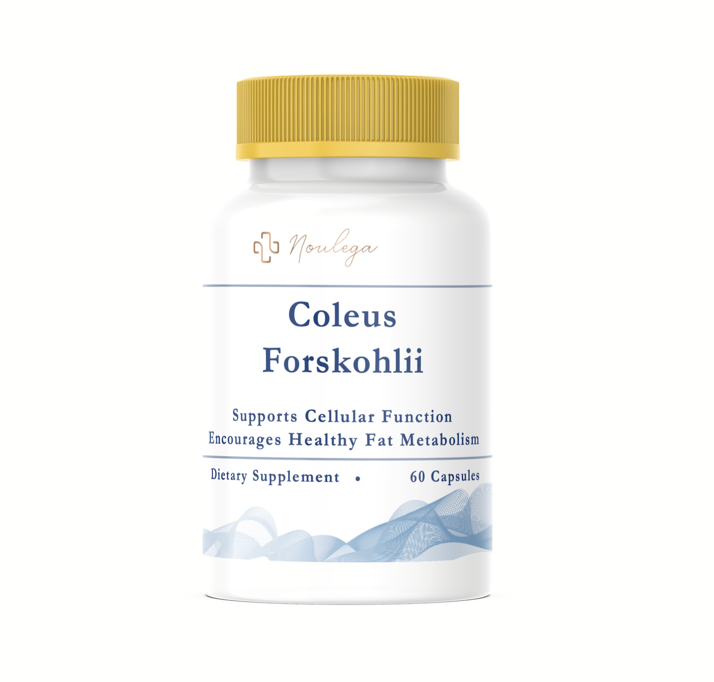 Nutricost Coleus Forskohlii 500mg, 60 Capsules - Maximum Strength Herbal Supplement