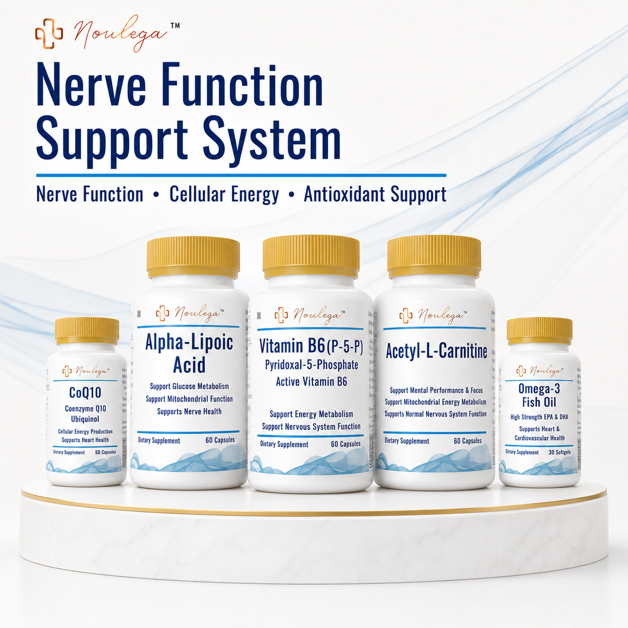Nerve Function Support