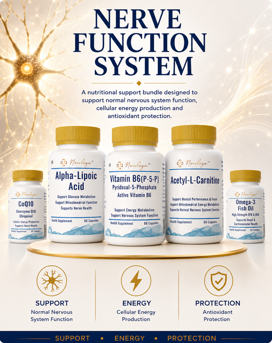 Nerve Function System